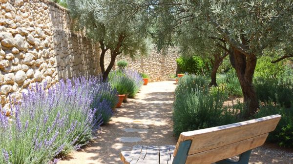 Les meilleures astuces pour un aménagement de jardin à Sanary